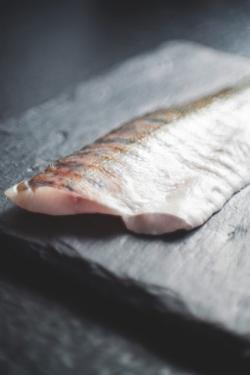 Zanderfilet