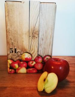 Apfelsaft im Karton mit aufgschnittenem Apfel