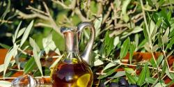 Olivenöl, Oliven und Olivenzweige